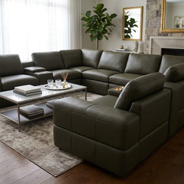 The Olivaro V